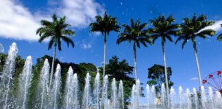 parque evaldo 4