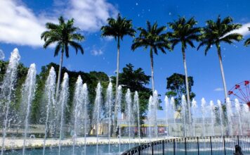 parque evaldo 4