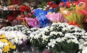 flores