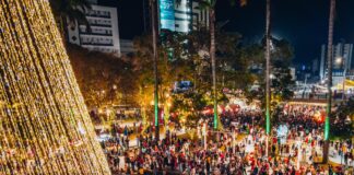 Natal Iluminado