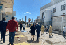 fiscaização mp trauma