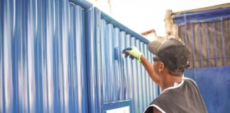 pintura seduc