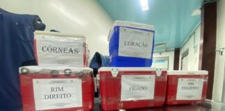 orgaos