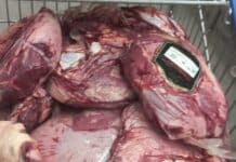 carne vencida