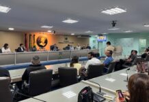 Proposta por Olimpio, audiência pública discutiu revitalização da Feira Central audiencia