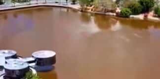 screenshot 20260111 190257 instagram