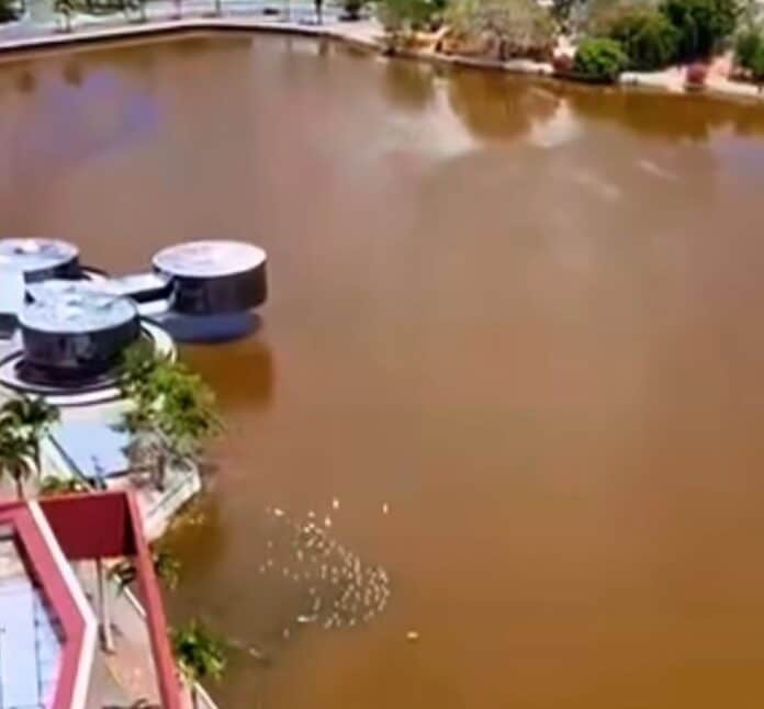 screenshot 20260111 190257 instagram