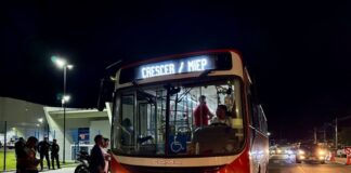 onibus crescer