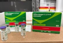 Paraíba amplia vacinação contra a dengue para todos os municípios vacina dengue