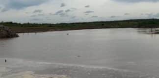 screenshot 20260301 110250 gallery