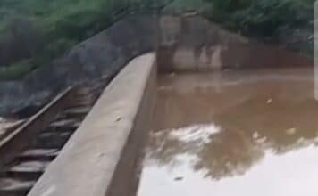 screenshot 20260302 080332 gallery