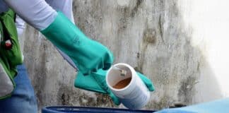 Dengue: 33 localidades de Campina estão com alto risco de infestação pelo aedes aegypti dengue