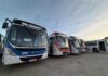 onibus novos