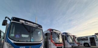 onibus novos